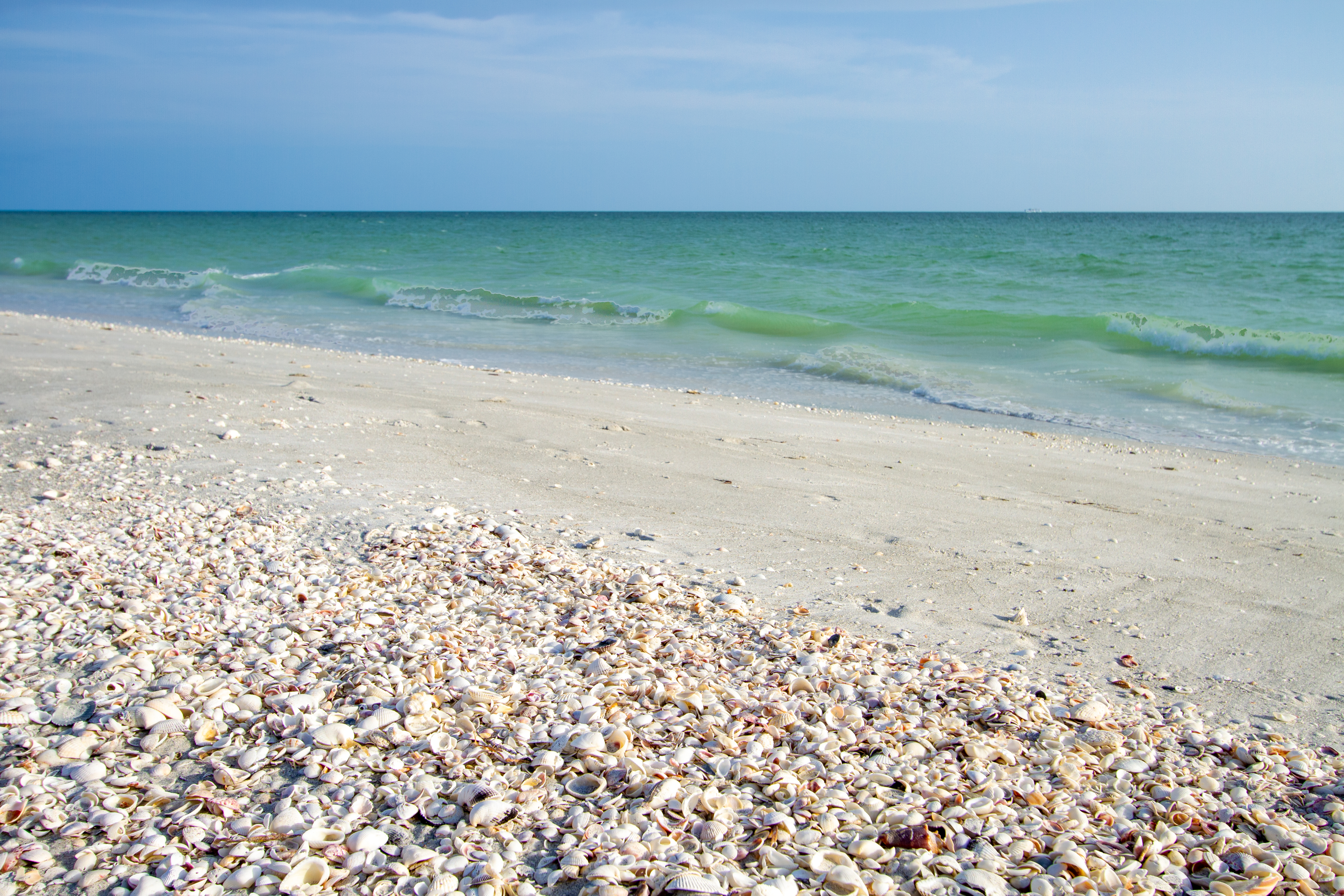 November & December Might Be the Best Time to Visit Sanibel Island
