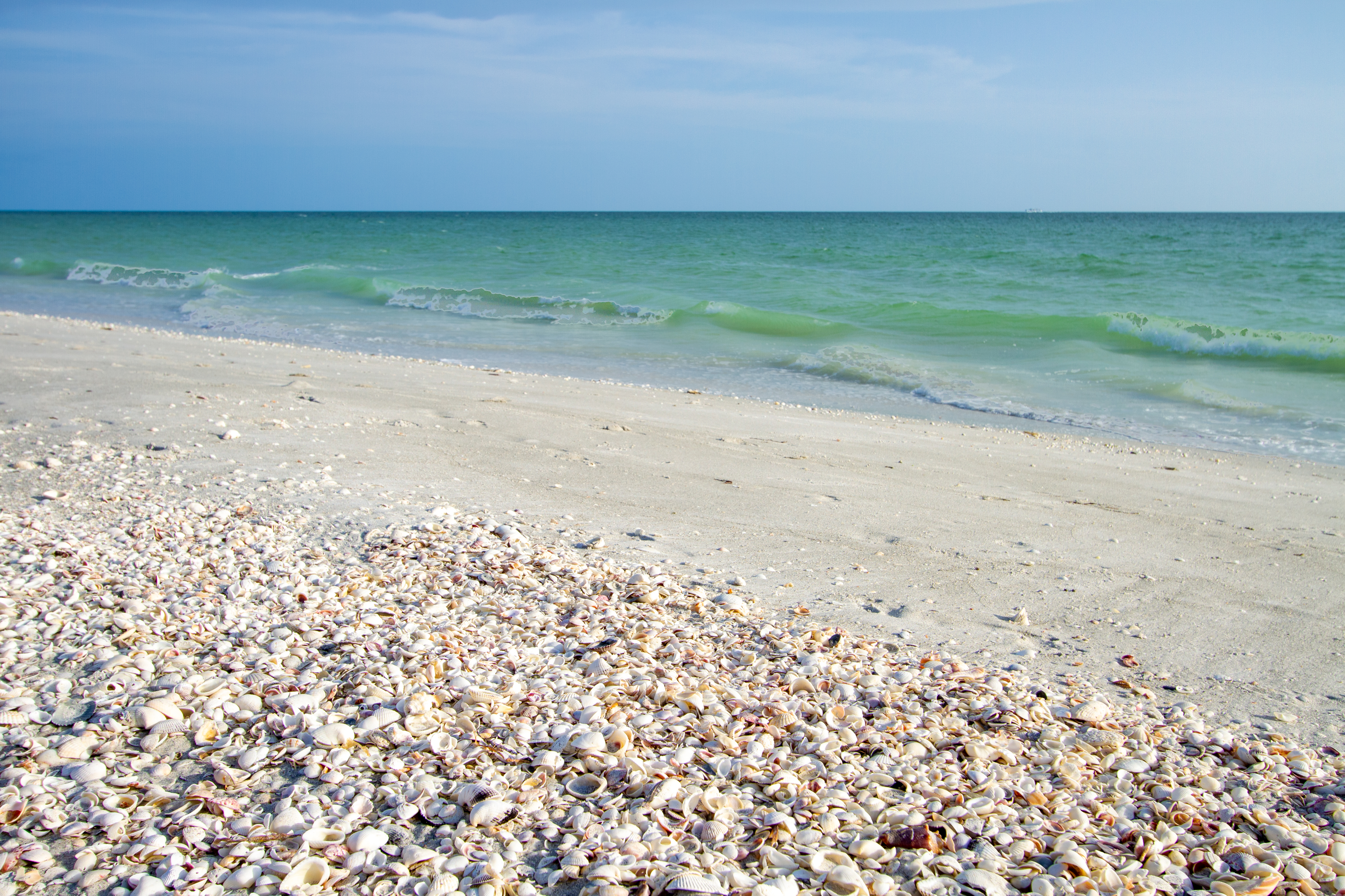 November & December Might Be the Best Time to Visit Sanibel Island November & December Might Be the Best Time to Visit Sanibel Island